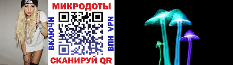 блэк спрут зеркало  Сокол  Галлюциногенные грибы прущие грибы  закладка 